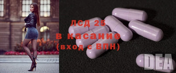 PSILOCYBIN Баксан