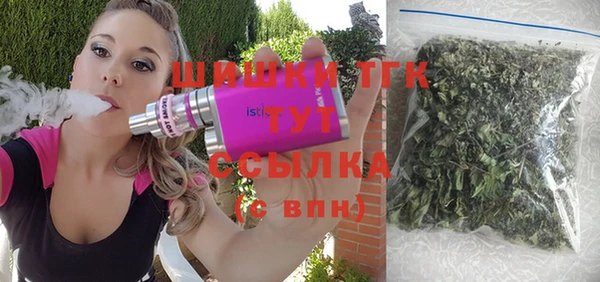 сатива Россошь