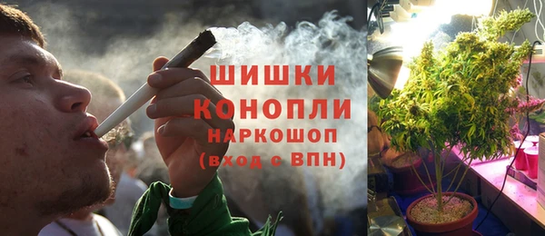 PSILOCYBIN Баксан