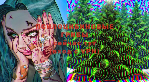 PSILOCYBIN Баксан