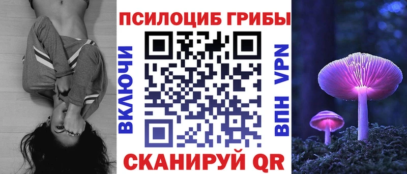 продажа наркотиков Нязепетровск Псилоцибиновые грибы Magic Shrooms